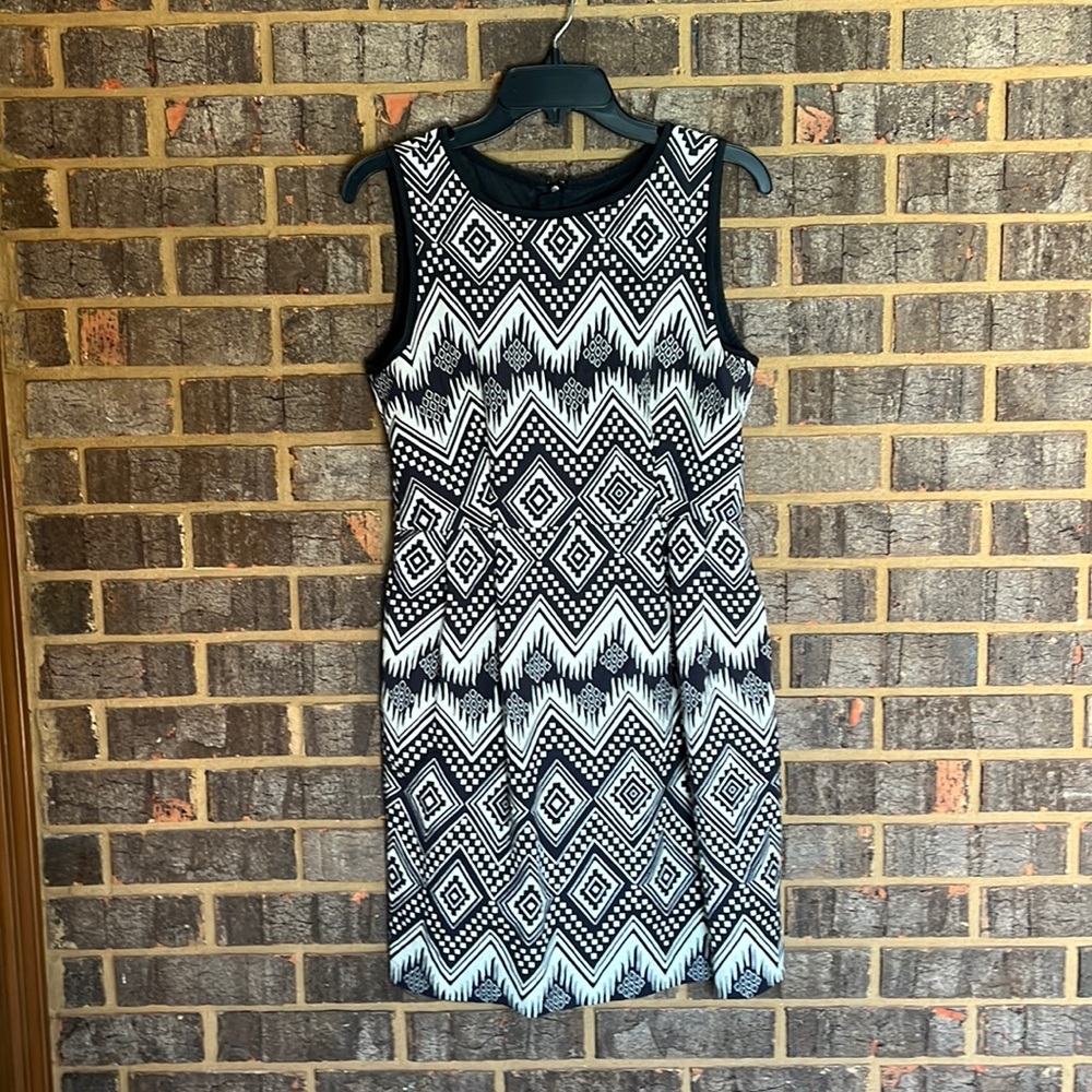 J Crew dress